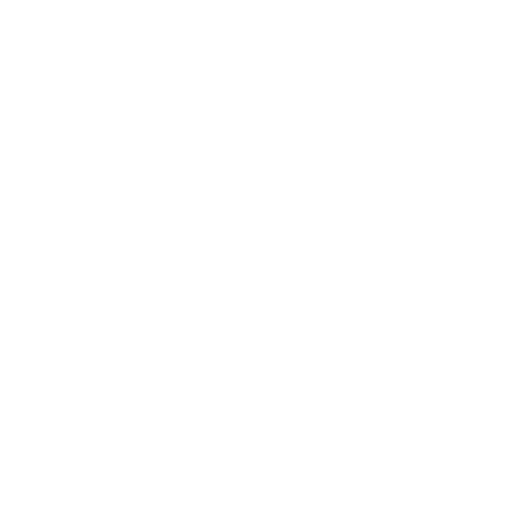Toy Bear